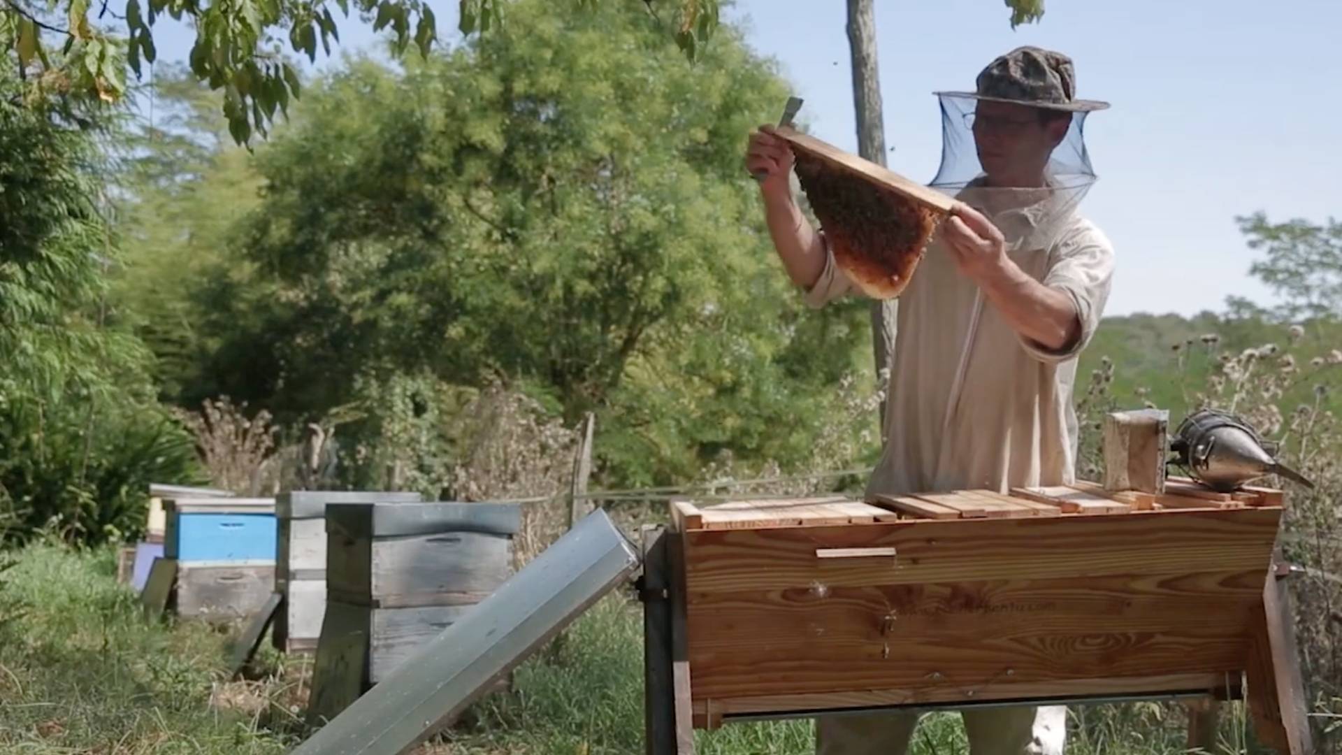 Gilles Fert, apiculteur : « C’est une fierté de contribuer aux projets de la Fondation Lune de Miel® »
