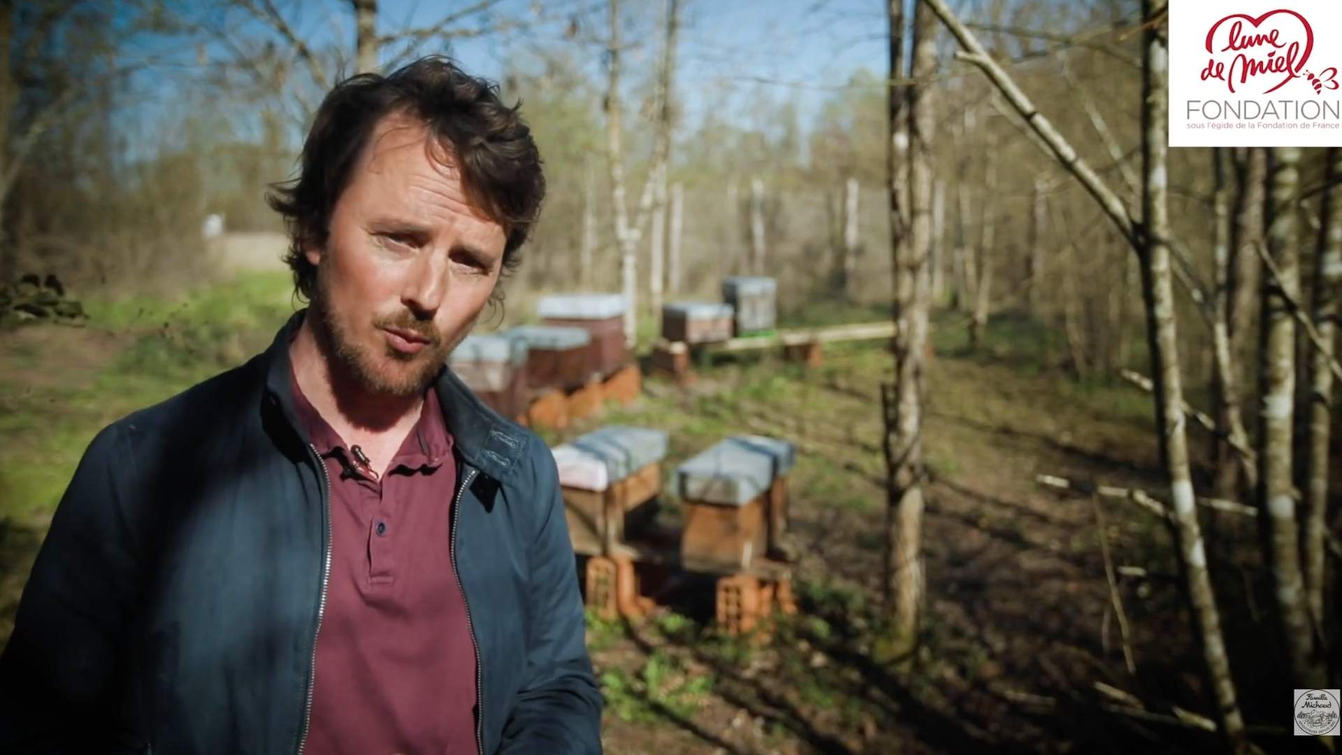 La fondation soutien les abeilles