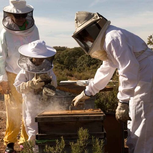 Header-actu-fondation lune de miel