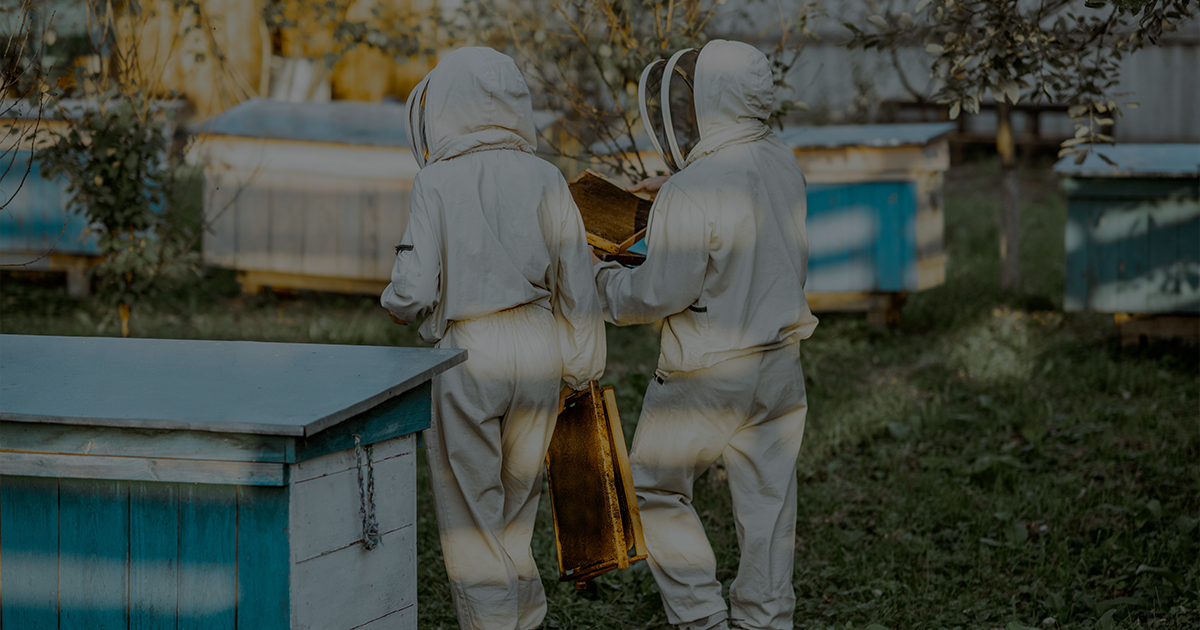 Fondation Lune de Miel® aux côtés des apiculteurs pour préserver les abeilles